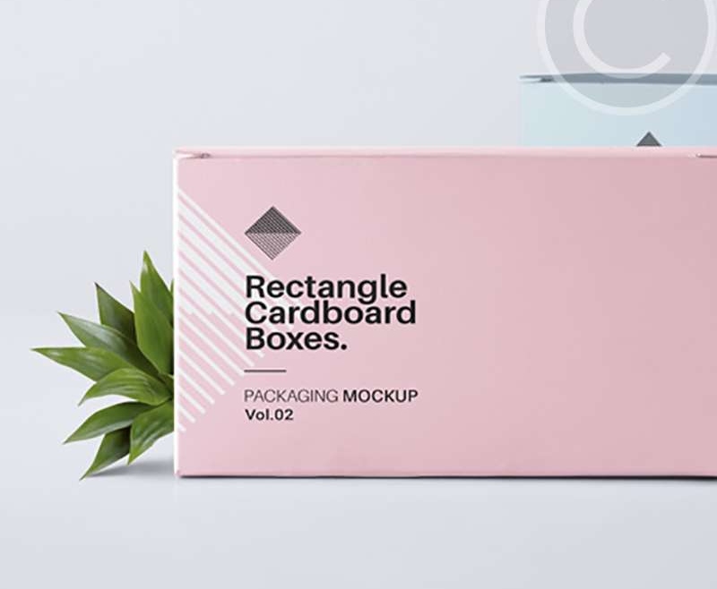 Branding Company Project